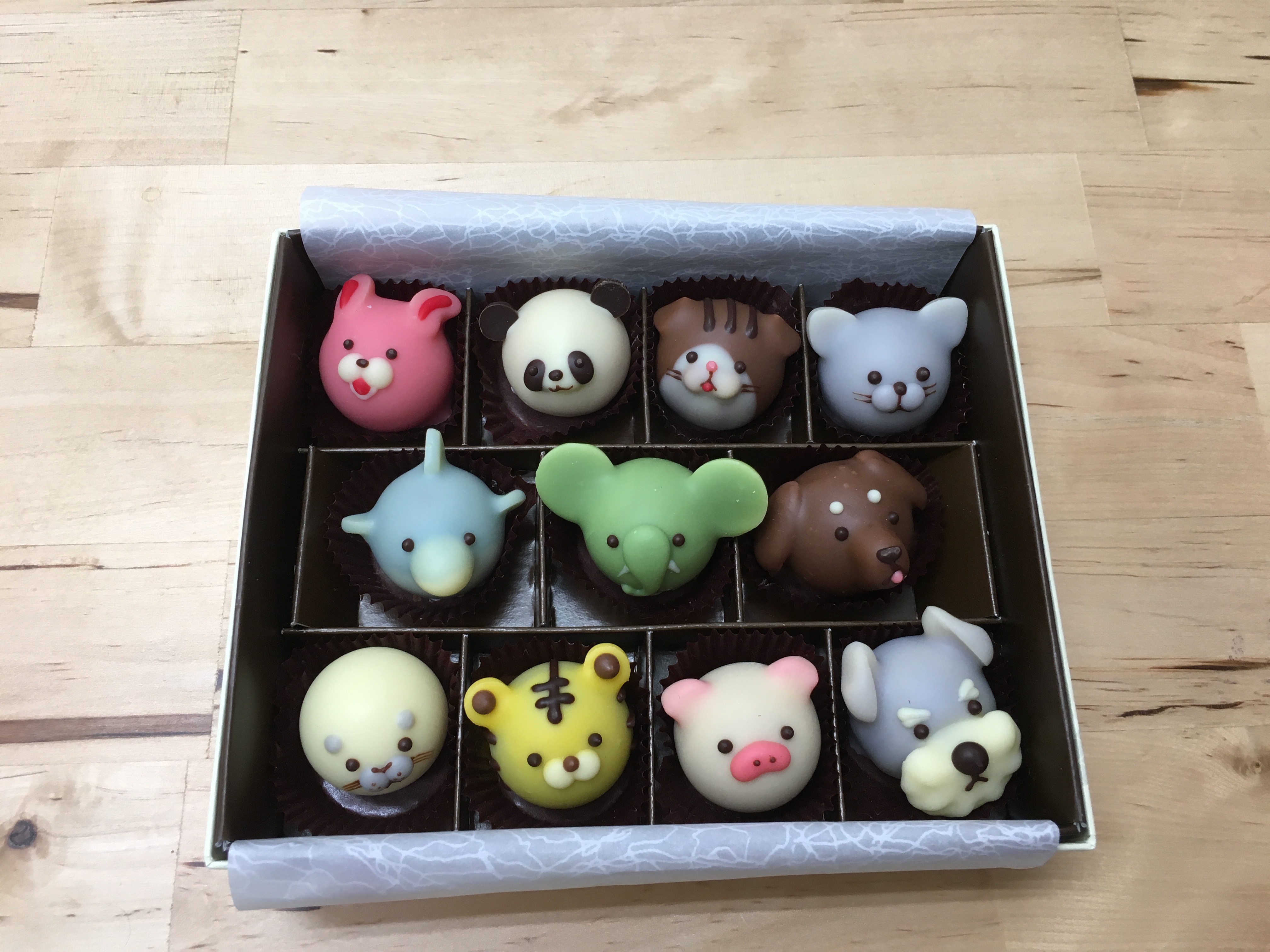 チョコ 動物