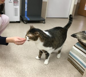 ユズ彦1 のコピー