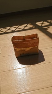 IMG_4500