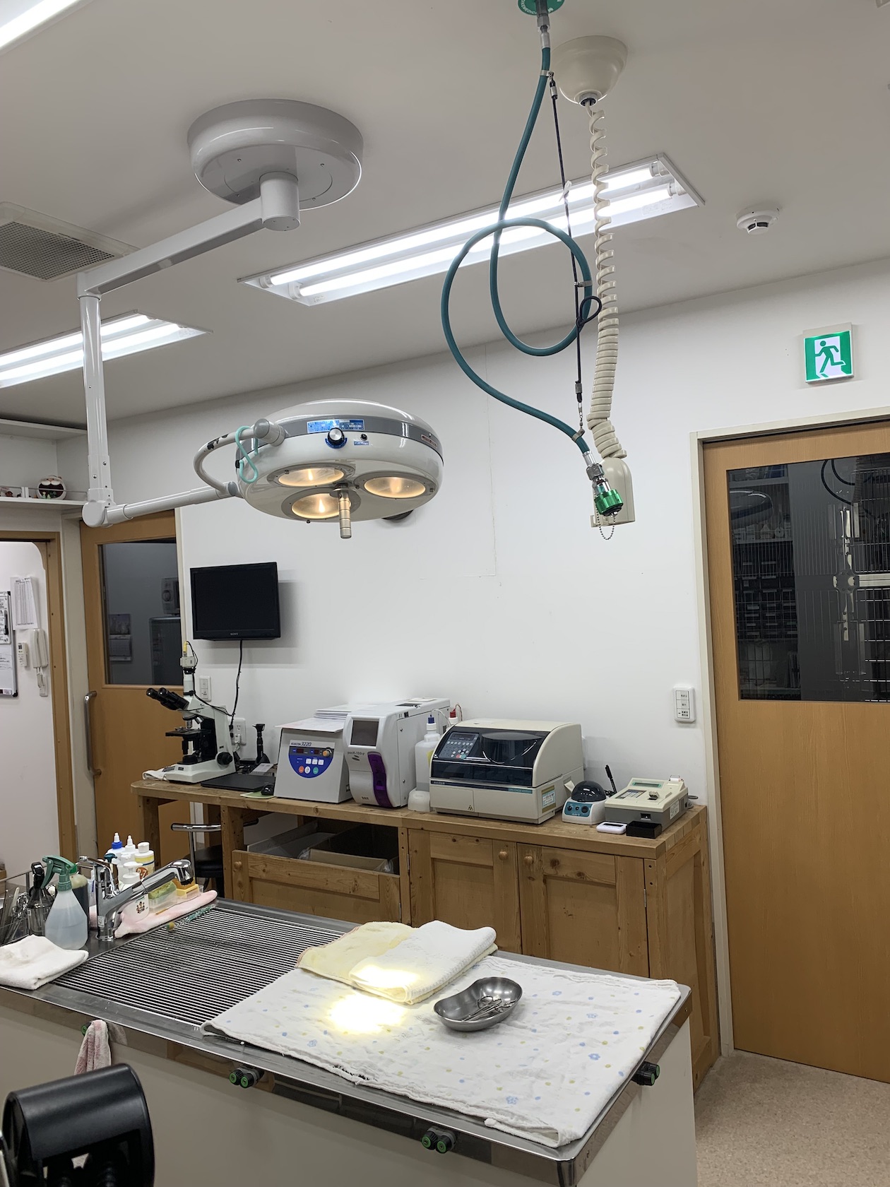新しいワイヤレスLEDライト｜梨の木どうぶつ病院/昭島市の動物病院 
