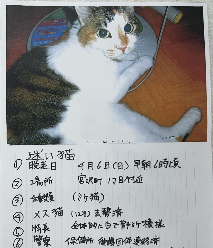 迷子の猫ちゃん情報｜梨の木どうぶつ病院/昭島市の動物病院(整形外科 